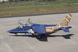 TZG100304M