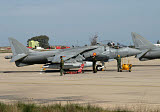TZG100307M
