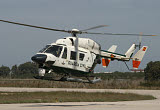 TZG100309M