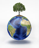 VET200038S
Planet Earth with a tree growing on top.