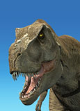 VET600001P
3D rendering of Tyrannosaurus Rex, close-up.