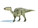 VET600004P
3D rendering of an Edmontosaurus dinosaur.