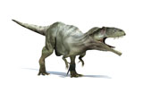 VET600005P
3D rendering of a Giganotosaurus dinosaur.