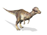 VET600006P
3D rendering of a Pachycephalosaurus dinosaur.