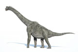 VET600008P
3D rendering of a Brachiosaurus dinosaur.