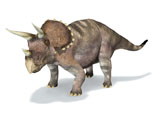 VET600009P
3D rendering of a Triceratops dinosaur.
