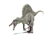 VET600010P
3D rendering of a Spinosaurus dinosaur.