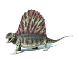 VET600011P
3D rendering of a Dimetrodon dinosaur.