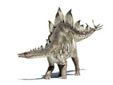 VET600012P
3D rendering of a Stegosaurus dinosaur.