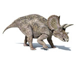 VET600014P
3D rendering of a Triceratops dinosaur.