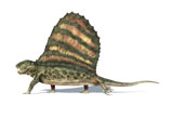 VET600016P
3D rendering of a Dimetrodon dinosaur.