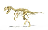 VET600022P
3D rendering of an Allosaurus dinosaur skeleton.