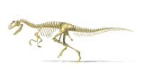 VET600023P
3D rendering of an Allosaurus dinosaur skeleton.