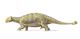 VET600024P
An Ankylosaurus dinosaur with full skeleton superimposed.