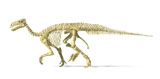 VET600029P
3D rendering of an Iguanodon dinosaur skeleton.