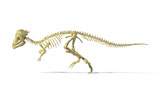 VET600030P
3D rendering of a Pachycephalosaurus dinosaur skeleton.