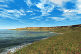 WMY100138P
Thousands of individual Aglaophyton populate an  Early Devonian bay.