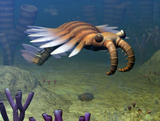 WMY100139P
An Anomalocaris explores a Middle Cambrian age ocean floor.
