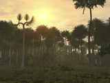 WMY100146P
A Carboniferous forest of Midwestern North America 350 million years ago.