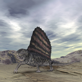 WMY100152P
Dimetrodon grandis traverses Earth during the Early Permian period.