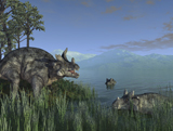 WMY100155P
Three Estemmenosuchus mirabilis face off in a Paleozoic lake.