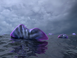 WMY100163P
Portuguese Man o' War swarm over the surface of a Cambrian ocean.
