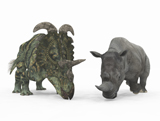 WMY100167P
An adult Albertaceratops compared to a modern adult White Rhinoceros.