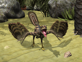 WMY100170P
An Archaeopteryx depicted near the shore of the Tethys Sea.
