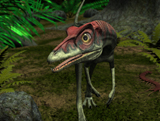 WMY100176P
A Compsognathus wanders a late Jurassic forest.