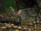 WMY100177P
A Compsognathus prepares to swallow a small lizard.