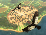 WMY100217P
A pair of Andean Condors fly over an Amazonian village.
