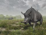 WMY100219P
Brontotherium wander the lush late Eocene landscape.