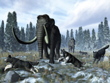 WMY100222P
A pack of dire wolves crosses paths with two mammoths during the Upper Pleistocene Epoch.