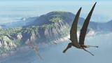 WMY100247P
Species from the genus Anhanguera soar 105 million years ago over what is today Brazil.