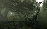 WMY100262P