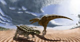 YPR600001P
A Tarbosaurus dinosaur and an armored Saichania ankylosaurid.