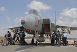 ZDN100007M