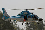 ZDN100009M
