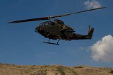 ZDN100012M