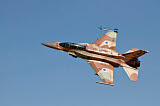 ZDN100032M