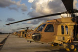 ZDN100050M
Israeli Air Force UH-60L Yanshuf helicopters parked on the flight line.