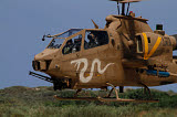 ZDN100063M
