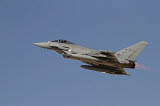 ZDN100083M