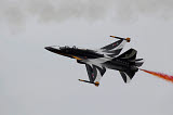 ZDN100102M