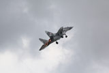 ZDN100103M