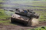 ZDN100132M