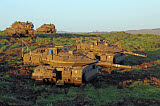 ZDN100144M