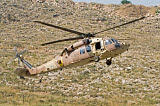 ZDN100179M