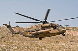 ZDN100181M