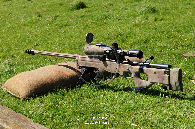 Arctic Warfare Magnum Awm